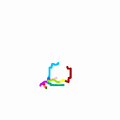 Export Image